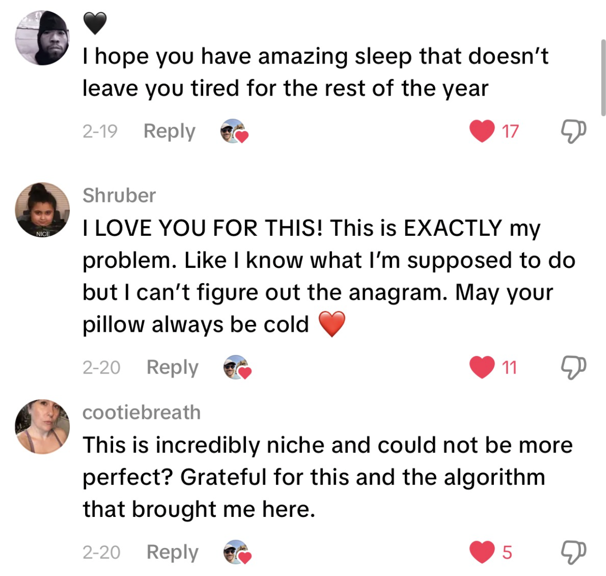 TikTok Comments from users grateful I solved their niche problem